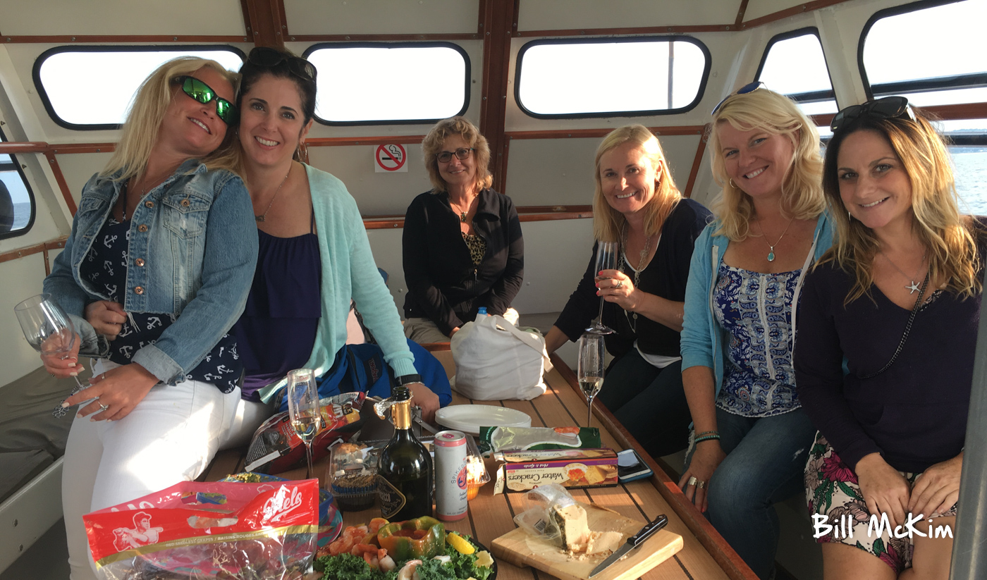 , Plenty of dolphins today, Bill McKim&rsquo;s Jersey Shore Whale Watch Tour 