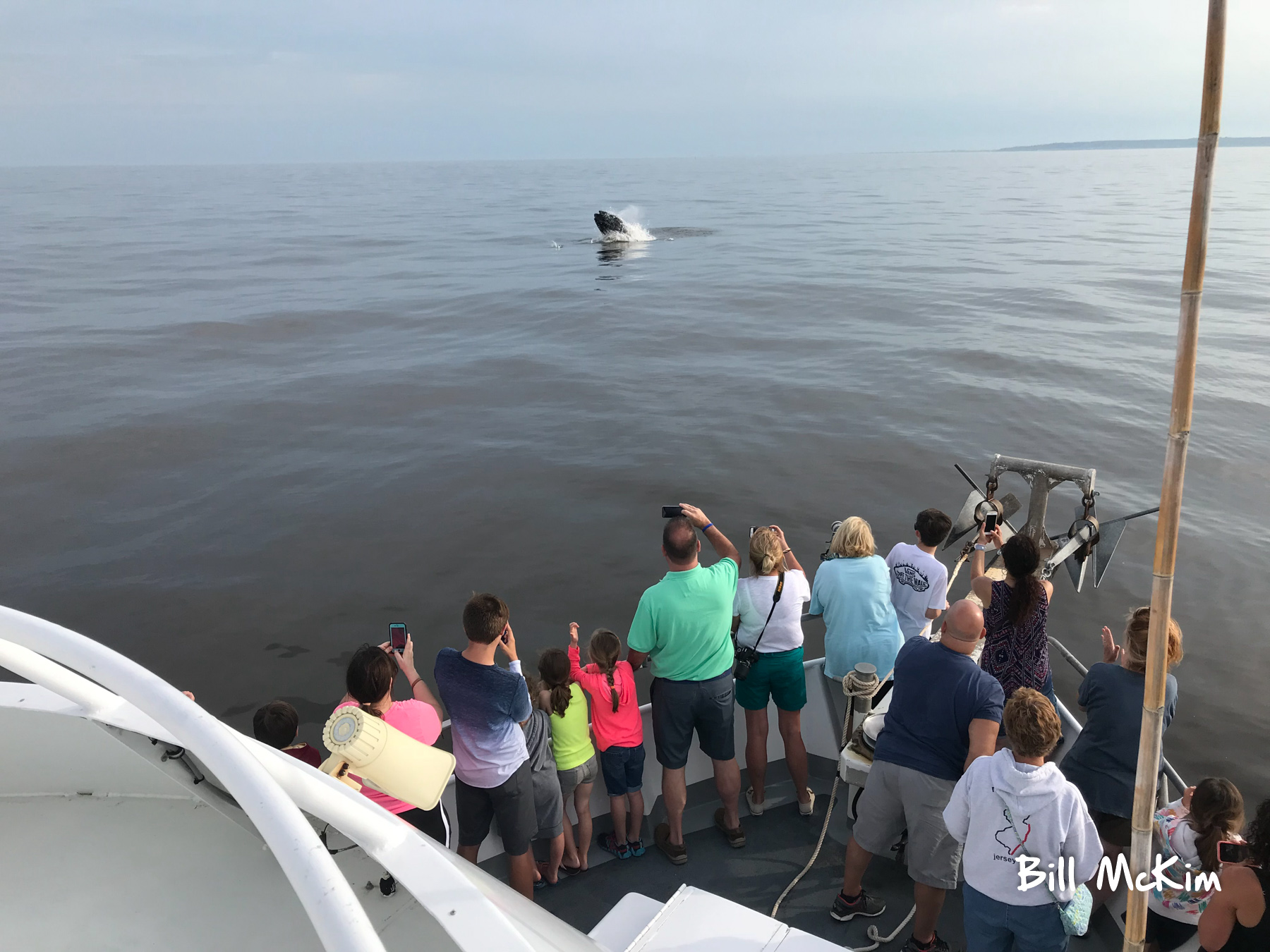 jersey shore whale watch june 2018 IMG_1279