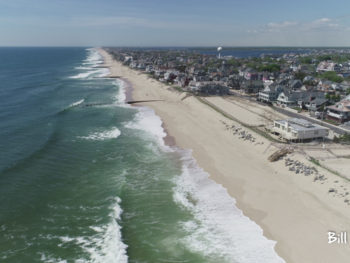 whale migration jersey shore