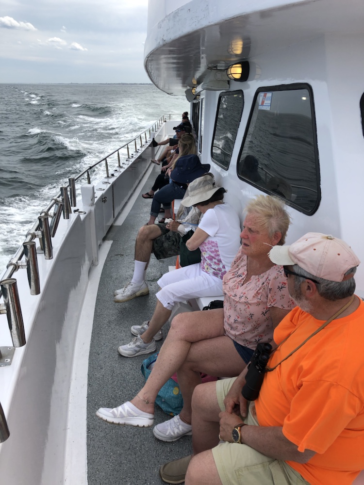 Jersey Shore Whale Watch Photo Contest Bill McKim’s Jersey Shore Whale Watch Tour