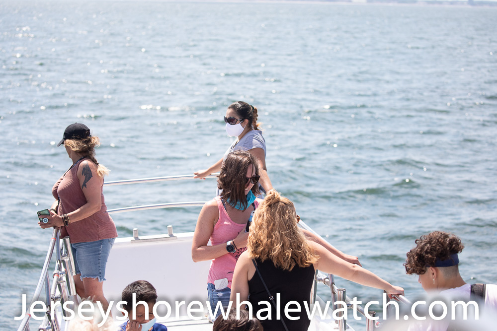 , Belmar whale watching tour review July 12 2020, Bill McKim’s Jersey Shore Whale Watch Tour 2024 Season