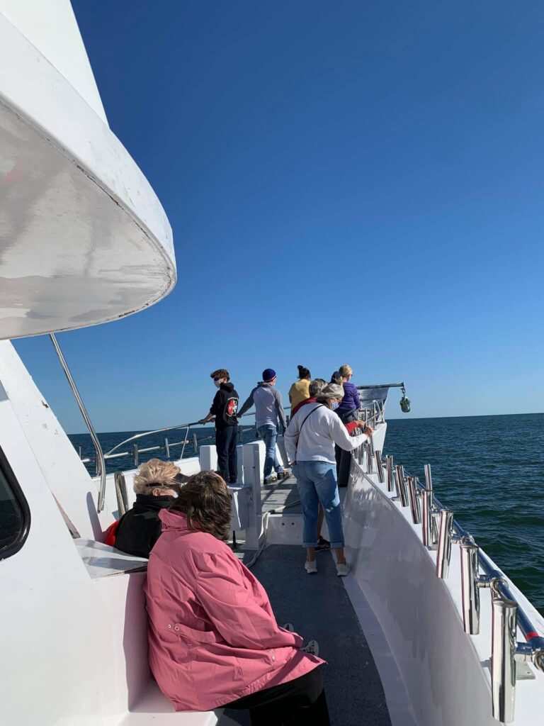 Everyone enjoyed the whale watching trip today, photo by one of our fans on the trip Anne Marie, nice pictures.