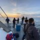 Jersey shore whale watch tour dates 2021