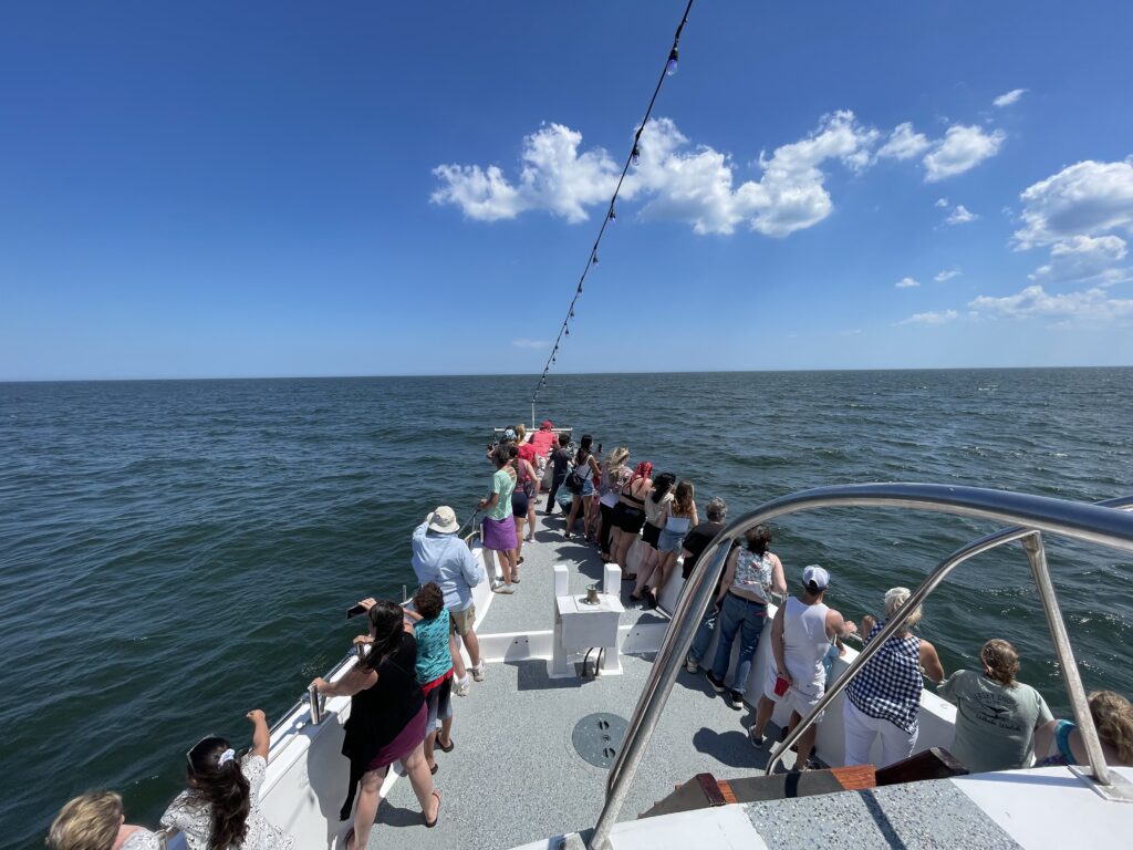 Whale watching tour jersey shore