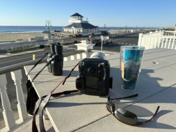 Whale watching season in New Jersey