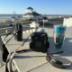 Whale watching season in New Jersey