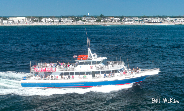 Safest whale watching boat in new jersey