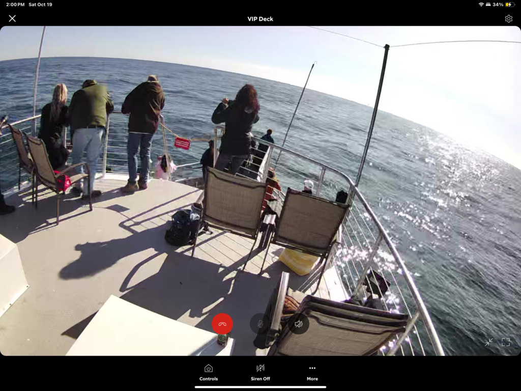 Whale Watching Trip Report Saturday, October 19 Bill McKim’s Jersey