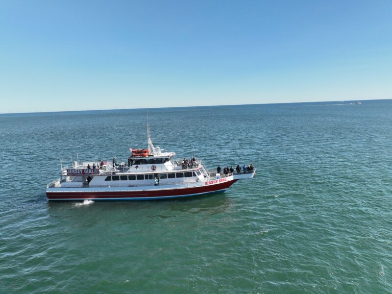 , Jersey Shore Whale Watch Local area guide 2025, Bill McKim&rsquo;s Jersey Shore Whale Watch Tour 