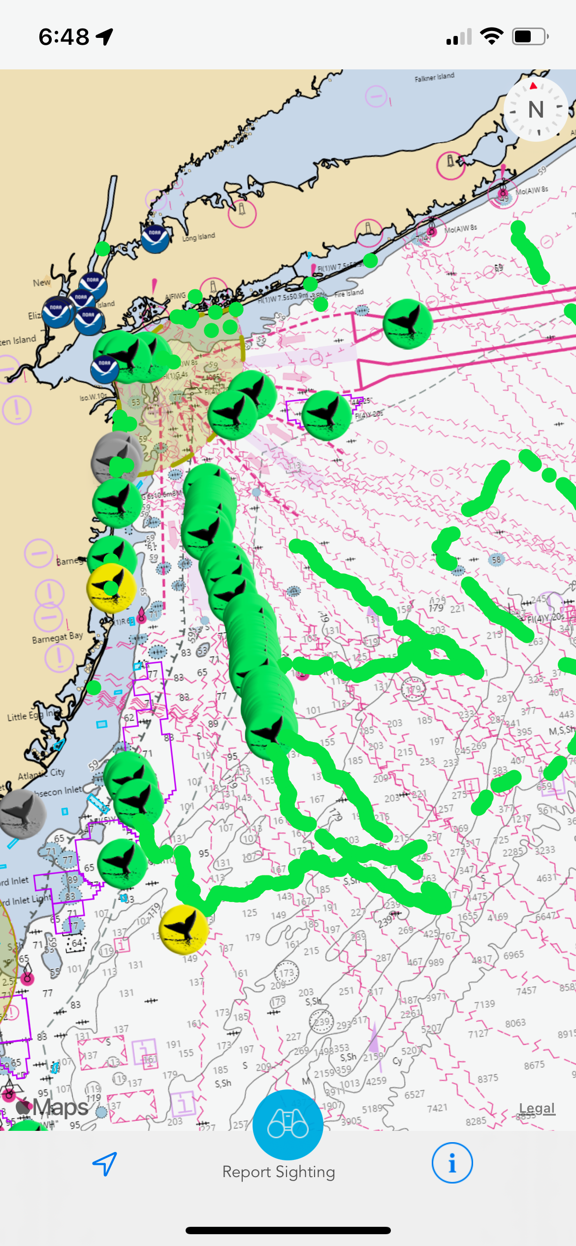 , Friday trip how many breaches?, Bill McKim’s Jersey Shore Whale Watch Tour