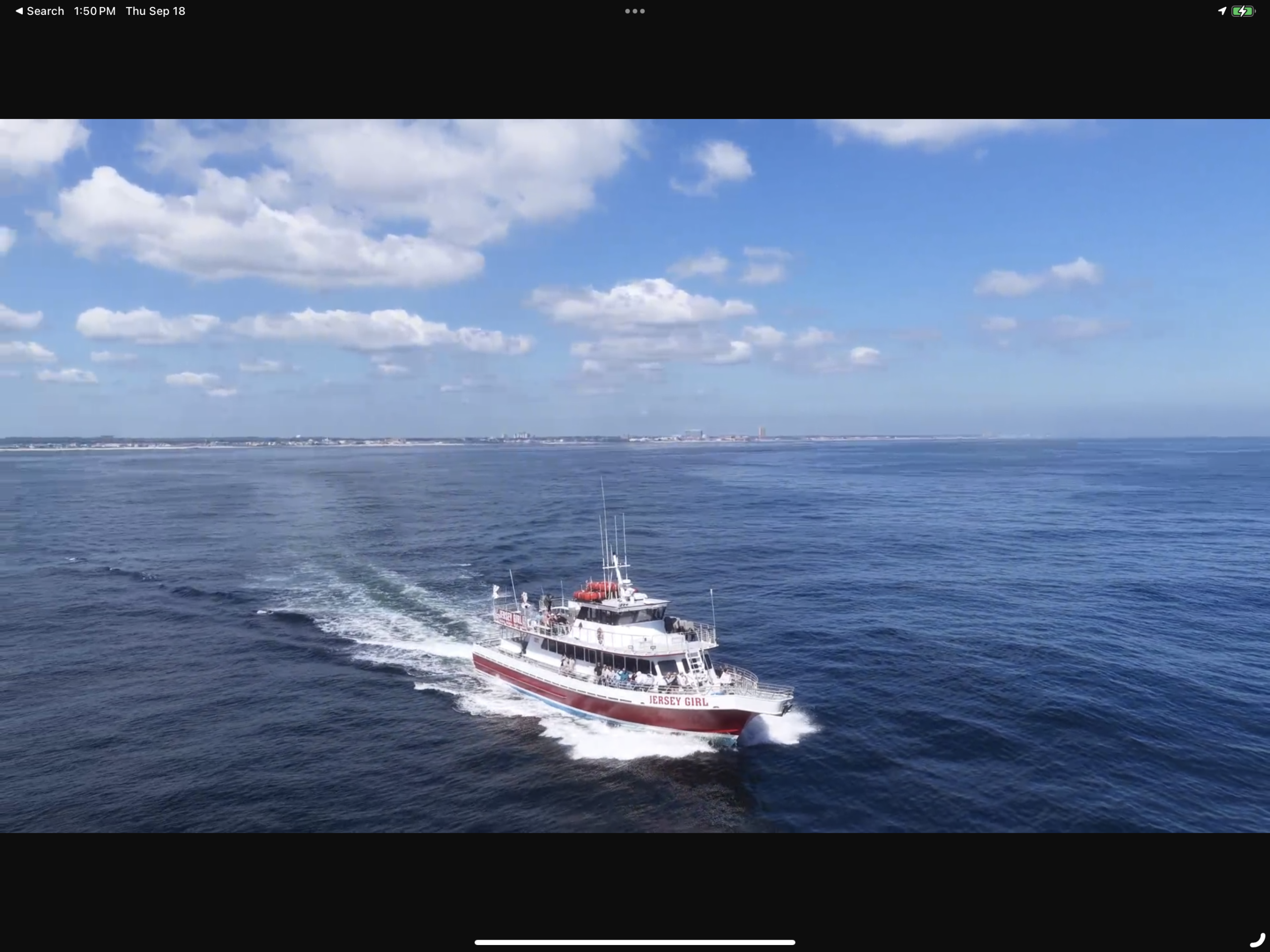 , Wednesday afternoon great whale watching trip, Bill McKim&rsquo;s Jersey Shore Whale Watch Tour 