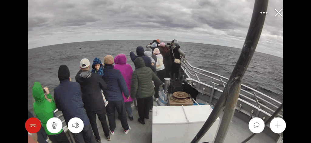 whale watching trip reports 2024 Belmar NJ, The Jersey Shore Whale Watch Trip Reports 2025 Season, Bill McKim&rsquo;s Jersey Shore Whale Watch Tour 