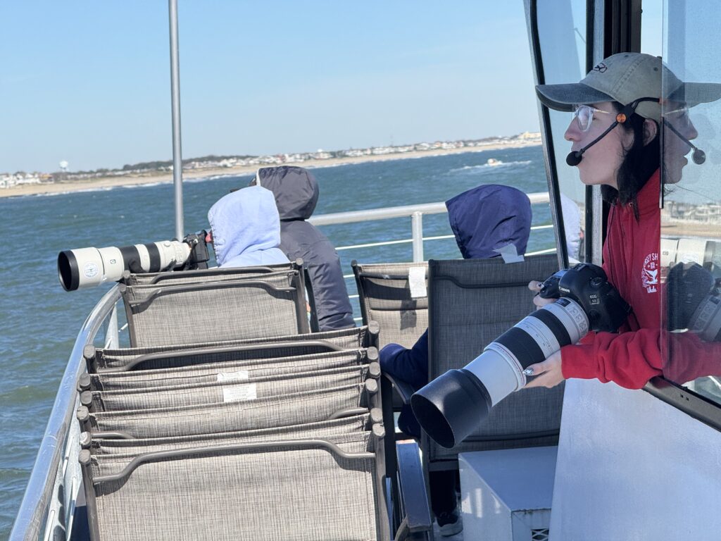 whale watching trip reports 2024 Belmar NJ, The Jersey Shore Whale Watch Trip Reports 2025 Season, Bill McKim&rsquo;s Jersey Shore Whale Watch Tour 